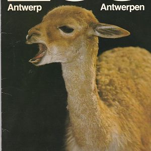 Zoo Antwerp Guidebook