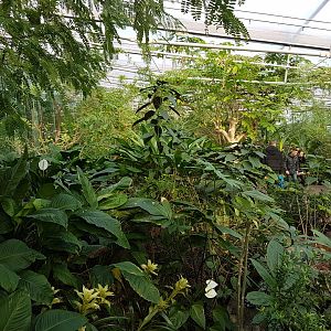 View into Butterfly-hall