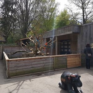 Mixed Parrot-enclosure