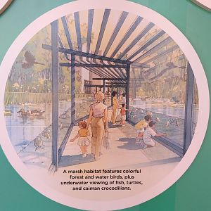 Sanford Children's Zoo concept art - 3