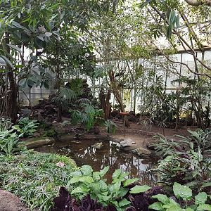 Pond and feeding-place African Walk-through