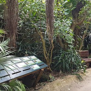 Signs African Walk-through