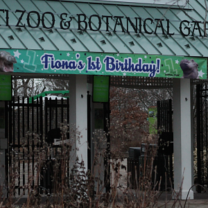 Jan. 2018 - Zoo Entrance - Fiona's First Birthday