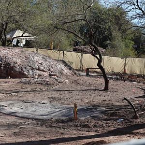 exhibit construction (Aldabra tortoise?)