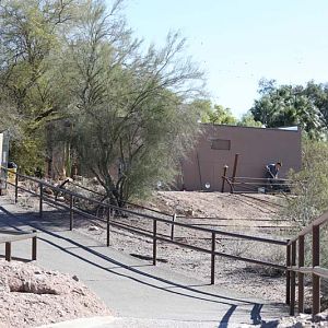construction new Galapagos tortoise exhibit