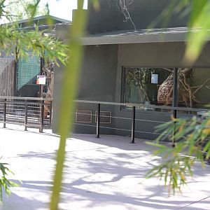 sloth exhibit (former ocelot)