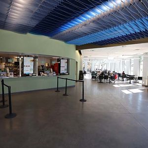 new cafe interior (looking right)