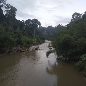 Danum Valley river
