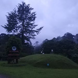 Early morning - Danum Valley Field Centre