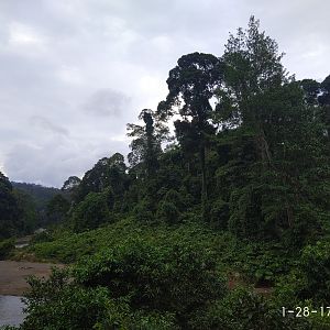 Danum Valley