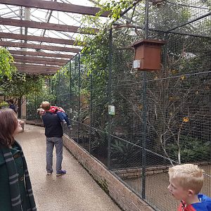 Aviaries Tropical House