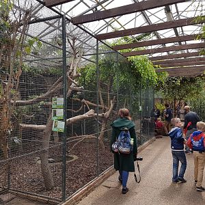 Aviaries Tropical House