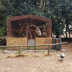 Aviary - Phillip Island Wildlife Park