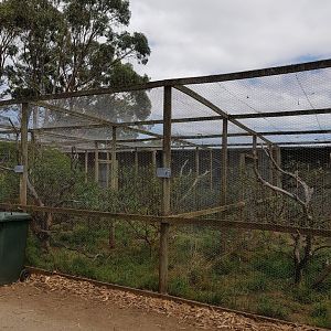 Aviaries  - Phillip Island Wildlife Park