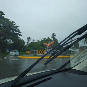 Roundabouts of Borneo