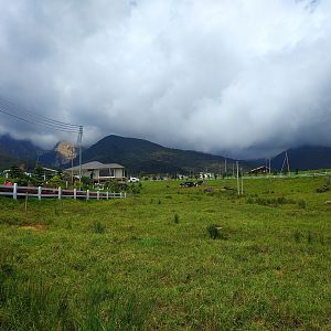 Desa Dairy Farm, Kundasang