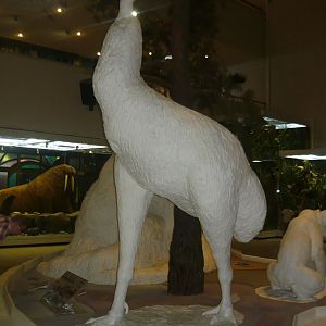 Moa statue