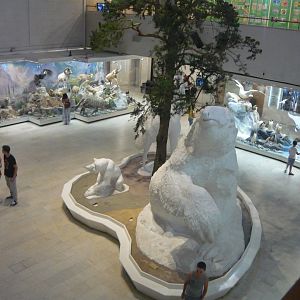 "Biological diversity" exhibition, ground floor