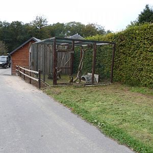 Rock hyrax aviary - Parc animalier de Bouillon