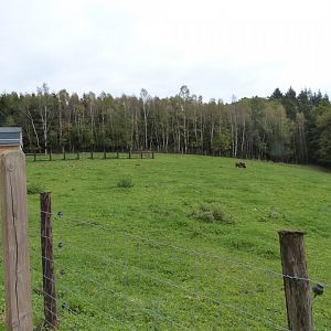 New African plain - Parc animalier de Bouillon