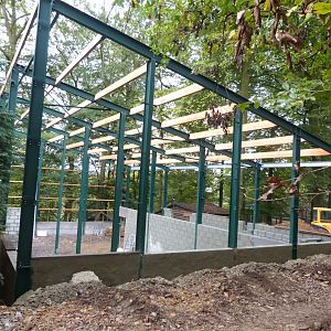 Giraffe - Parc animalier de Bouillon