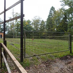 Giraffe and Nyala plain - Parc animalier de Bouillon