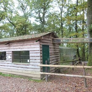Squirrel monkey - Parc animalier de Bouillon