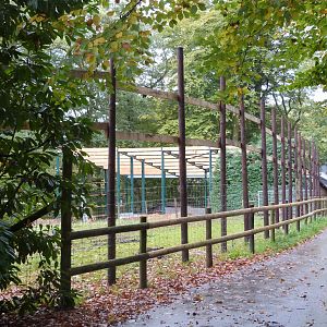 Giraffe and Nyala plain - Parc animalier de Bouillon