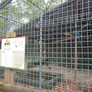 Macaws - Parc animalier de Bouillon