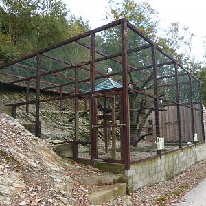 African sacred ibis - Parc animalier de Bouillon