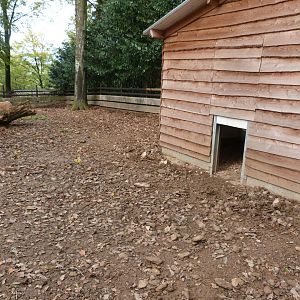 Red river Hog enclosure - Parc animalier de Bouillon