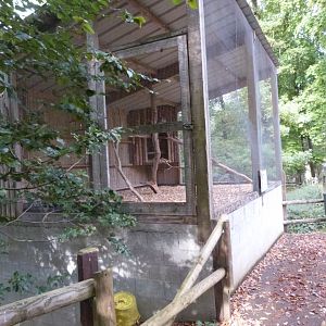 Aviary of owls - Parc animalier de Bouillon