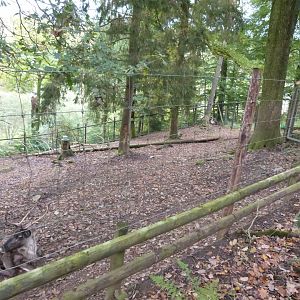 Reinder enclosure - Parc animalier de Bouillon