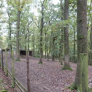 Southern leche - Parc animalier de Bouillon