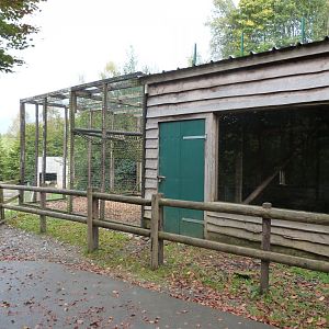 Rhesus monkey - Parc animalier de Bouillon