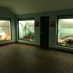 General view inside the Reptile House