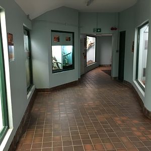 General view inside the Reptile House