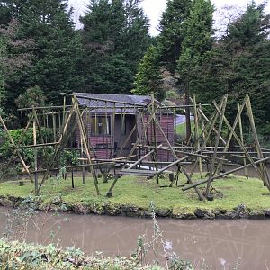 Spider Monkey Exhibit