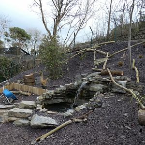 Work on Otter enclosure