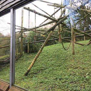 Moloch Gibbon exhibit