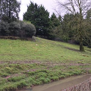 Darwin's Rhea exhibit