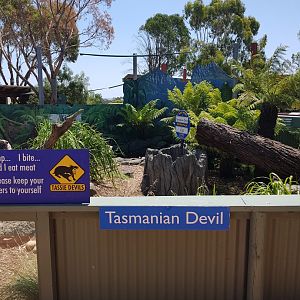 Tas devil enclosure @ Maru