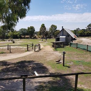 View of farmyard/kangaroo walk thru area
