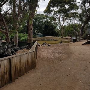 General view of the park