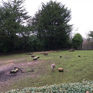 South America Exhibit