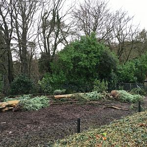 Visayan Warty Pig Exhibit