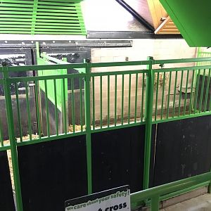 Zebra and Ostrich Indoor exhibits