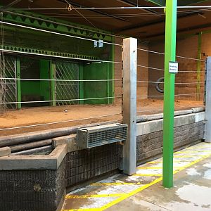 Elephant Indoor Exhibit