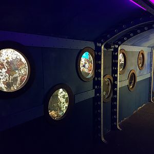 Submarine-aquarium
