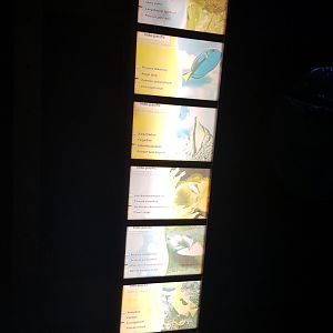 Signs Submarine-aquarium